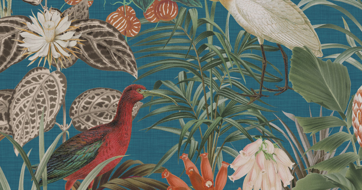 Omexco Birds of Paradise BOP501 | Omexco