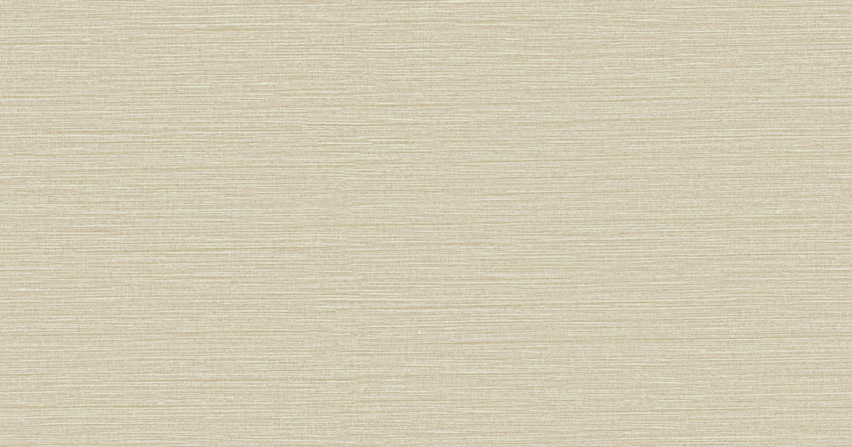 Cs41 Competence Omexco Café Society CS41 | Omexco