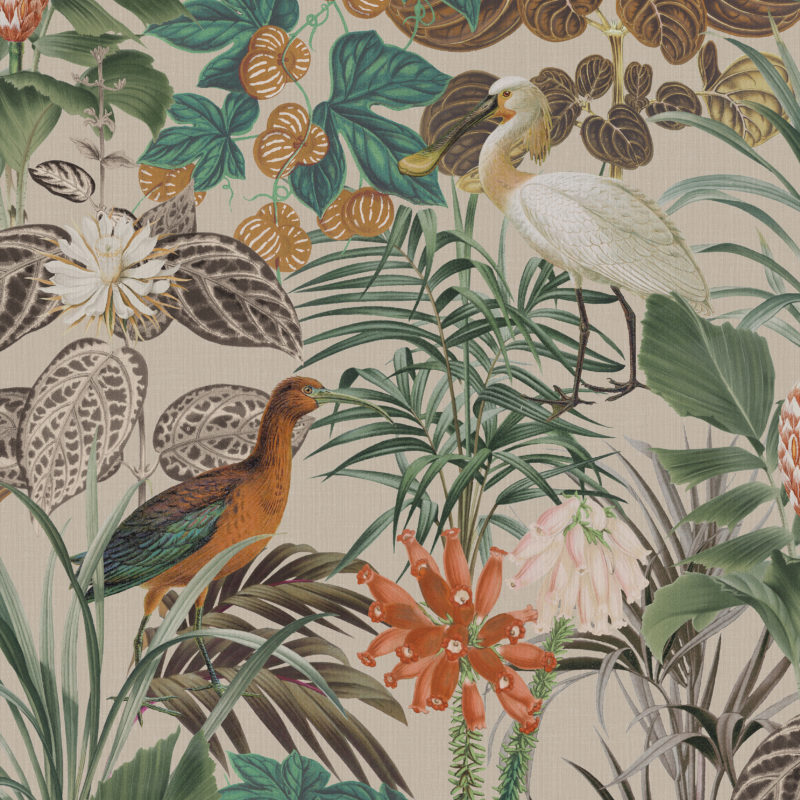 Omexco Birds of Paradise BOP502 | Omexco