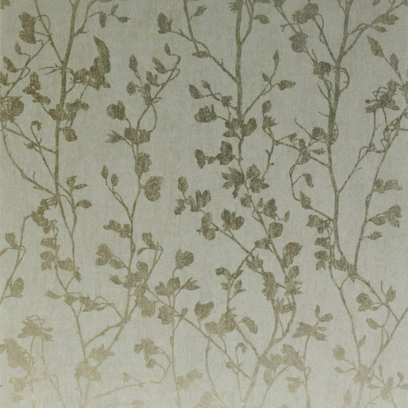 pal5057.jpg?mtime=1577107895