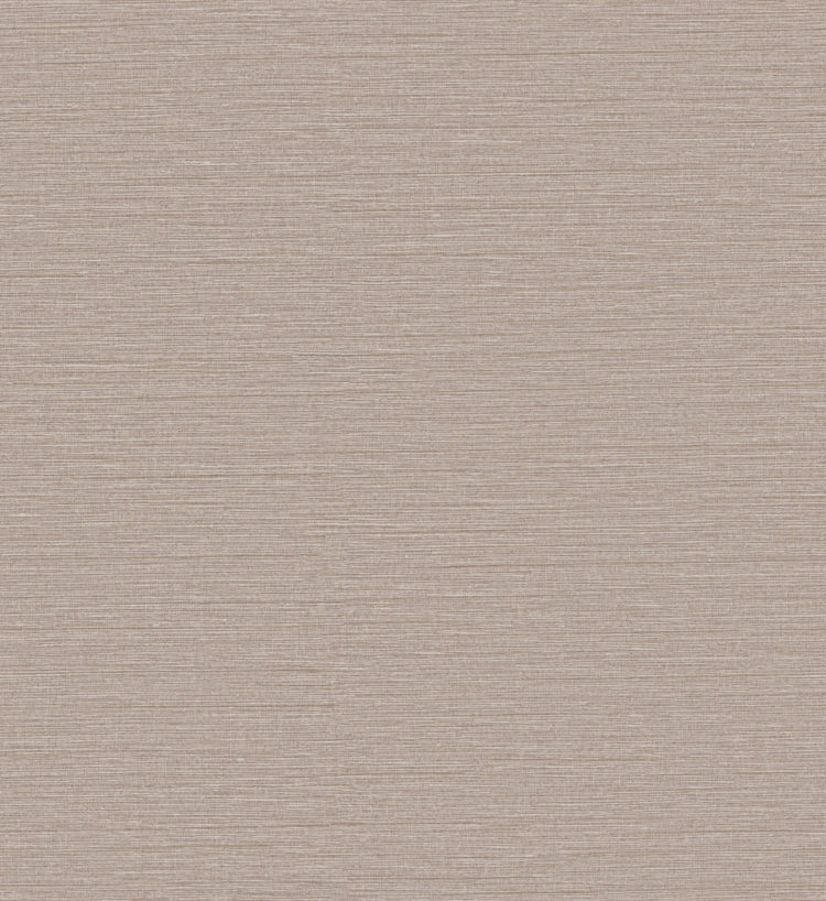 CS4 – CS45