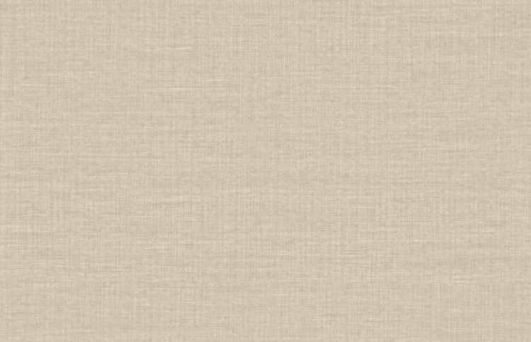 MIR4 – MIR404