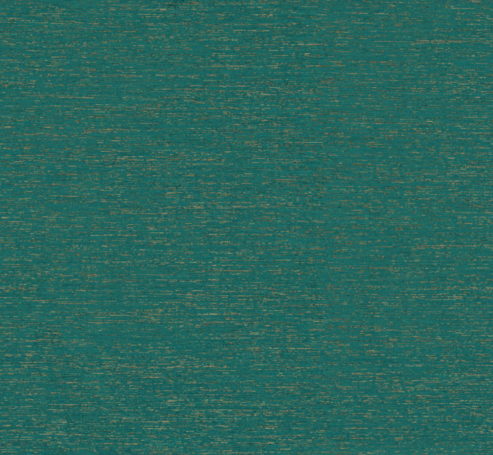 CS6 – CS63
