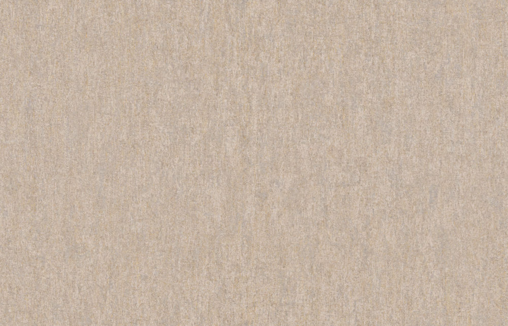 MIR2 – MIR203
