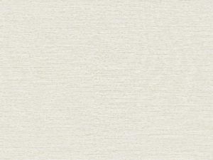 CS6 – CS61