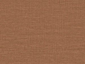 MIR4 – MIR409