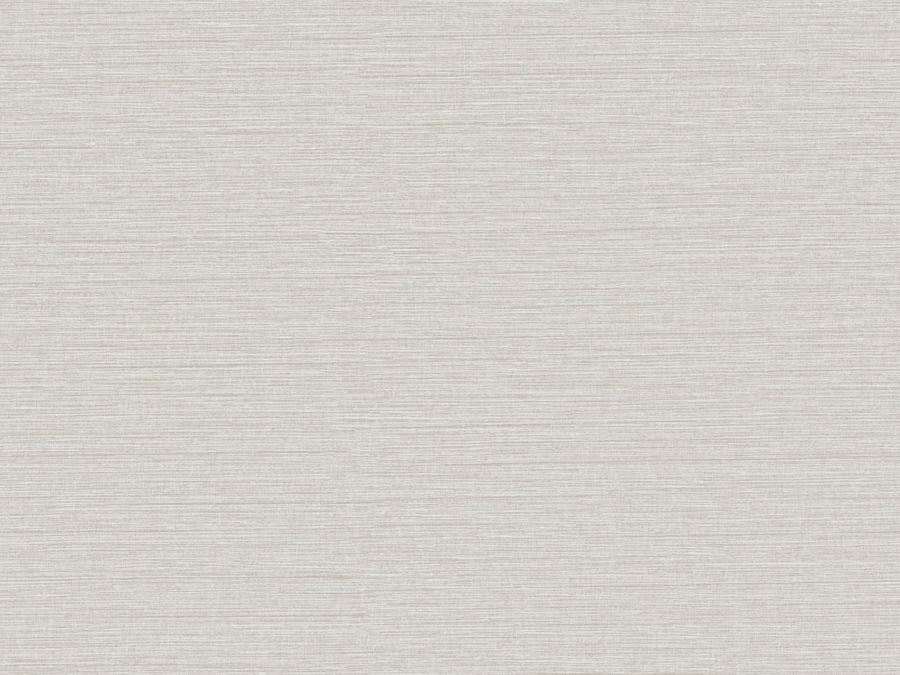CS4 – CS42