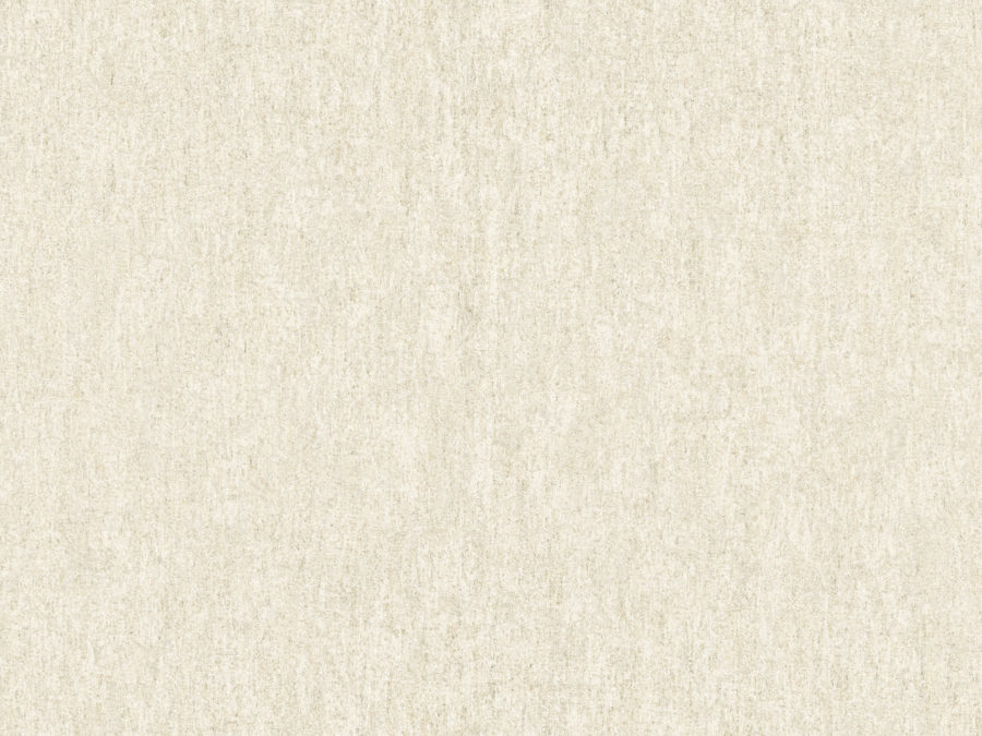MIR2 – MIR231
