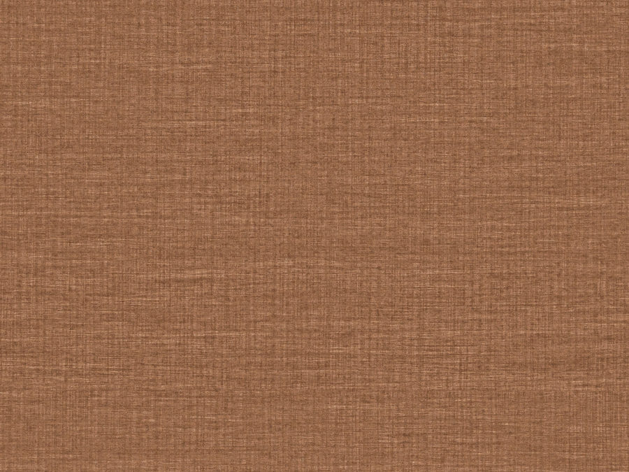 MIR4 – MIR409