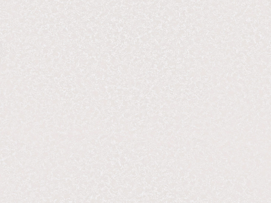 MIR8 – MIR804