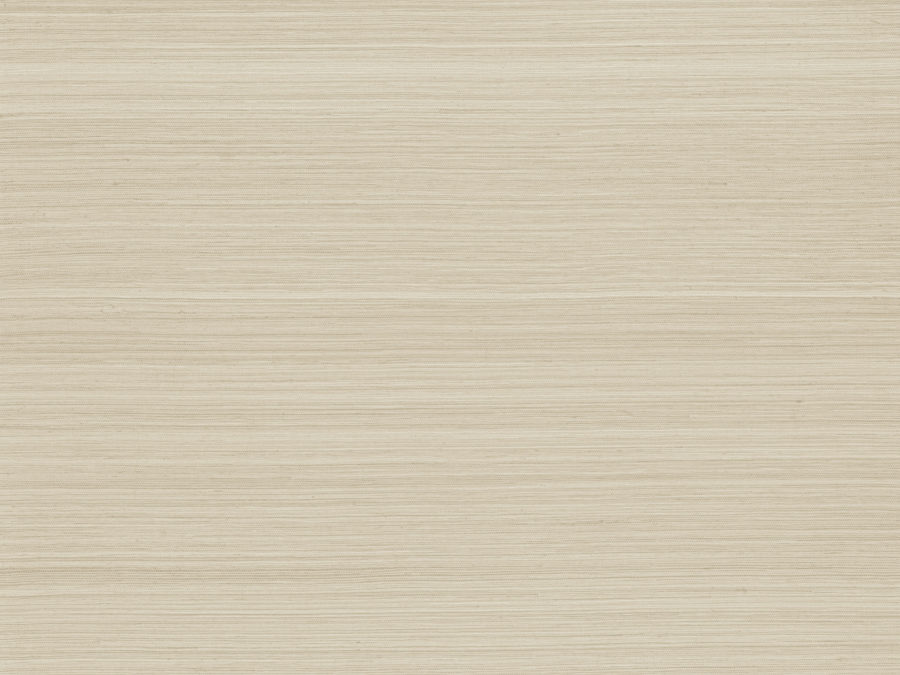 VIR30 – VIR3003