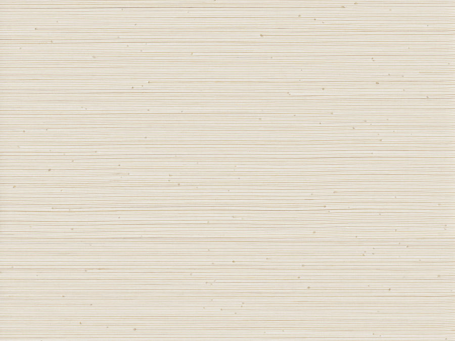 PU41 – PU411