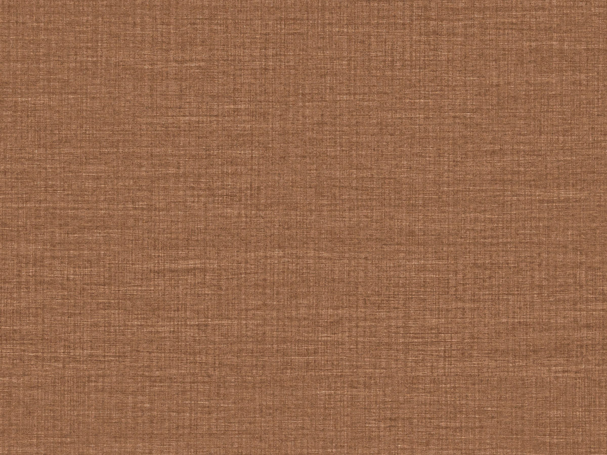 MIR4 – MIR409