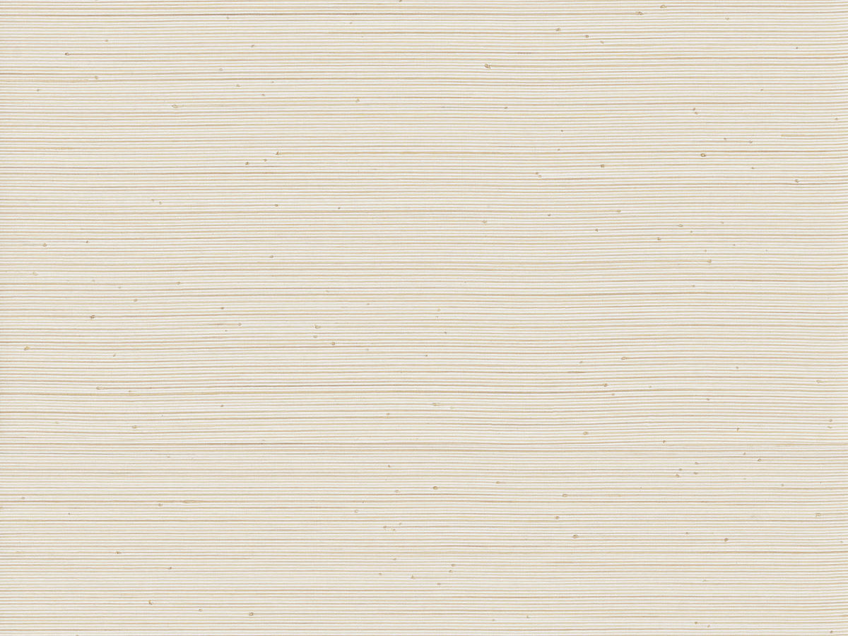 PU41 – PU411