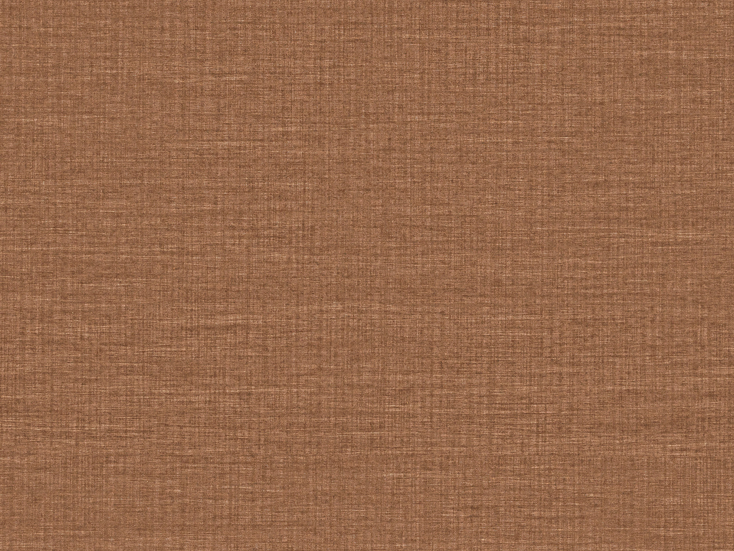MIR4 – MIR409